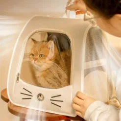 Cat Backpack Breathable Fabric Cat Backpack Luna