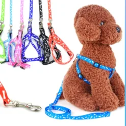 Set of anti-scratch pet dog and cat chest leashes – High-quality patterned goods Thin 1.0 pet dog and cat bib leash (<3kg)