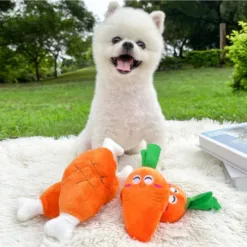 Funny Squeaky Stuffed Toy for Pets